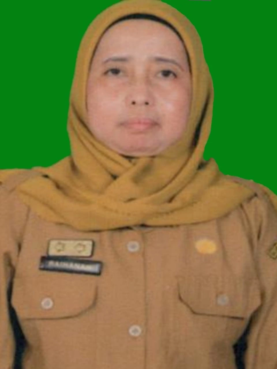 Hj. Raihanah, SE